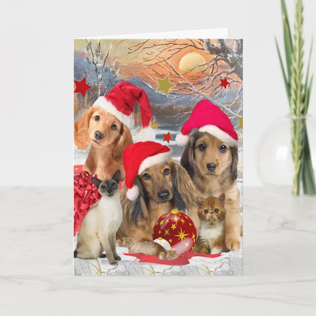 Tarjetas de Navidad Dachshund Merry (Anverso)