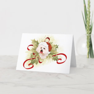 Tarjetas de Navidad de Bichon Frise