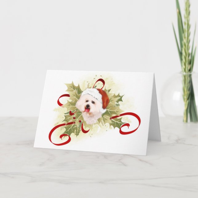 Tarjetas de Navidad de Bichon Frise (Anverso)