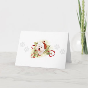 Tarjetas de Navidad de Bichon Frise