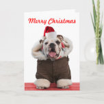 Tarjetas de Navidad de Bulldog divertidas y lindas<br><div class="desc">Un Bulldog gracioso que usa sombrero de Papá Noel, abrigo y bufanda. Un Navidad de fotos te deja a todos tus amigos amantes del perro, sobre todo a los fans de los bulldoges. El mensaje de navidades se puede personalizar. Otra imagen original de uno de los mejores fotógrafos de perros...</div>