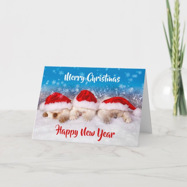 Tarjetas de Navidad de gatitos BLOQUEAN tarjetas d (Anverso)
