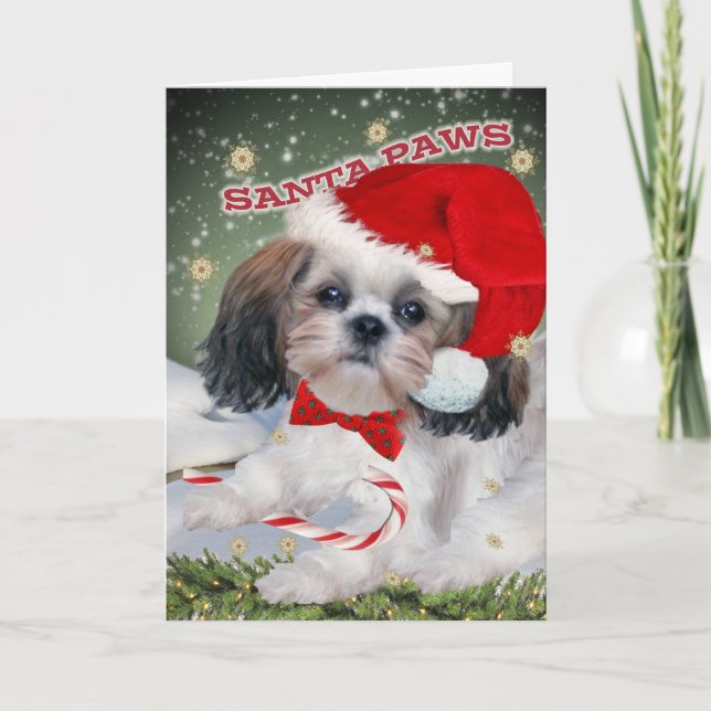 Tarjetas de Navidad de las patas de Shih Tzu Santa (Anverso)