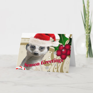 Tarjetas de Navidad de Meerkat