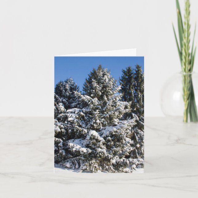 Tarjetas de Navidad de paisajes (Anverso)