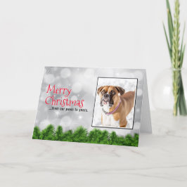 Tarjetas de Navidad de Perro Divertidas - Navidad 