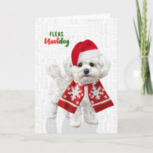 Tarjetas de Navidad de perro divertido Bichon Fris