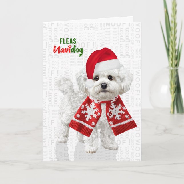 Tarjetas de Navidad de perro divertido Bichon Fris (Anverso)