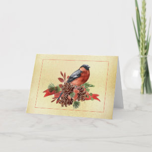 Tarjetas de Navidad de Piñas con Pájaros