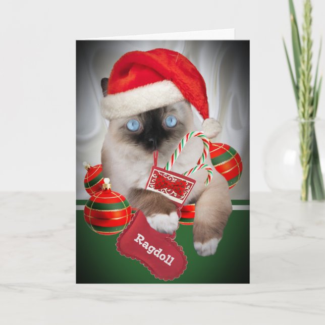 Tarjetas de Navidad de Ragdoll (Anverso)