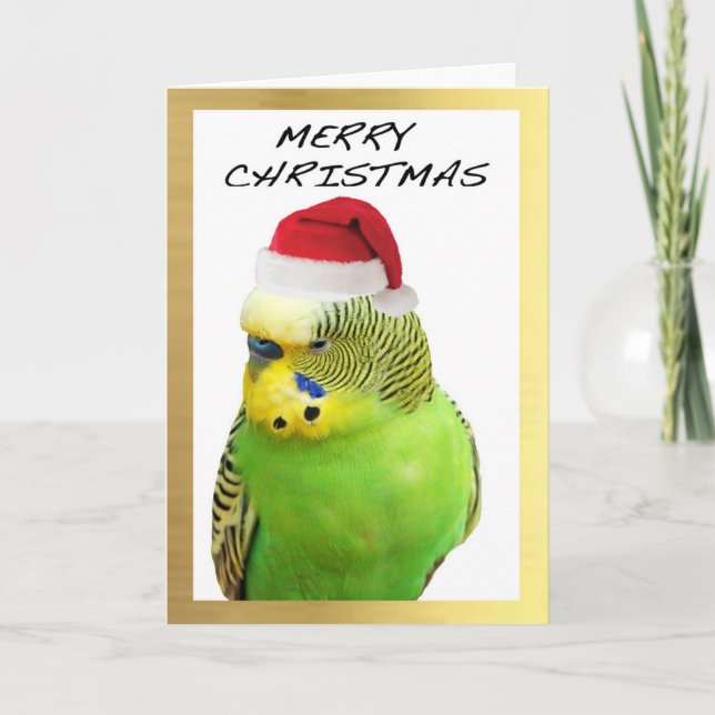 Tarjetas de Navidad del diseño de "Budgie lindo" (Anverso)