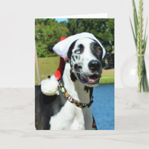 Tarjetas de Navidad del dormilón