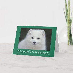 Tarjetas de Navidad del Fox