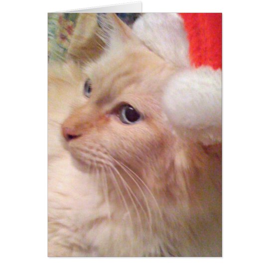 Tarjetas de Navidad del gato SM de Cokie