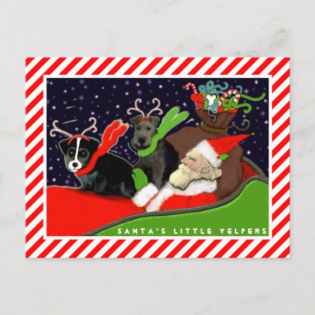 Tarjetas de Navidad Divertidas de Perros (Anverso)