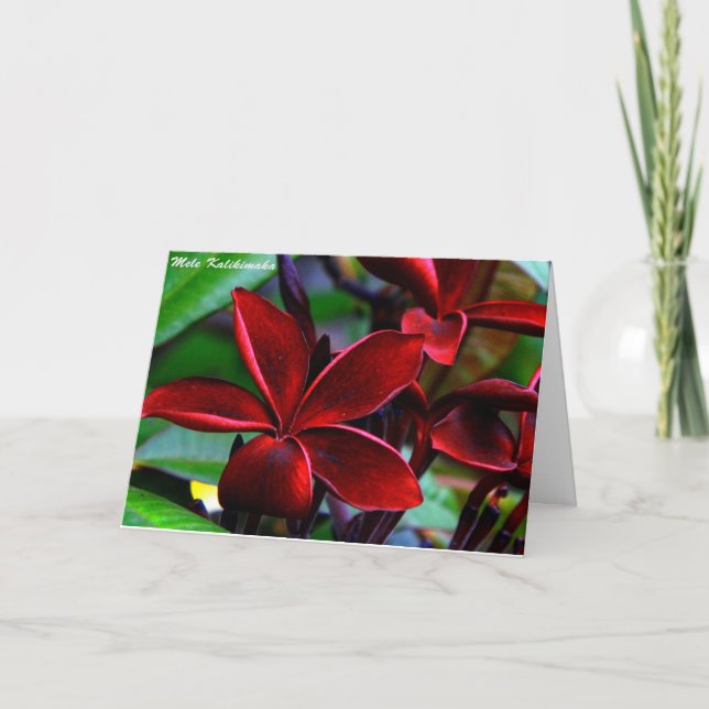Tarjetas de Navidad hawaianas (Anverso)
