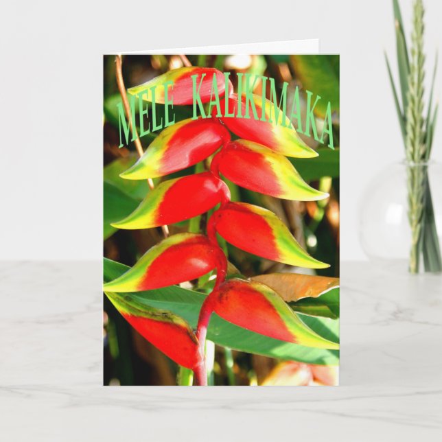 Tarjetas de Navidad hawaianas (Anverso)