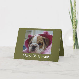 Tarjetas de Navidad inglesas del perrito del