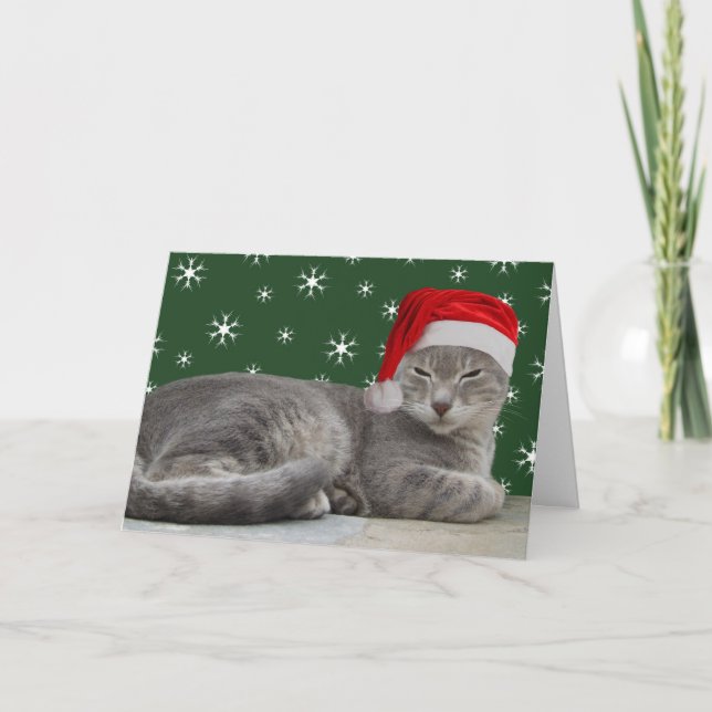 Tarjetas de navidad para gatos (Anverso)