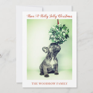 Tarjetas de Navidad para Perros