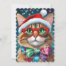 Tarjetas de Navidad, Peludas y Brillantes Gato Col