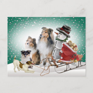 Tarjetas de Navidad Sheltie, Jack Russell y Snowma