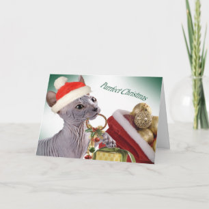 Tarjetas de Navidad Sphynx sin pelo