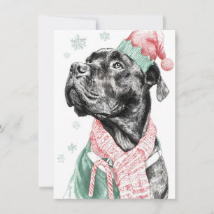 Tarjetas de Navidad únicas para perros