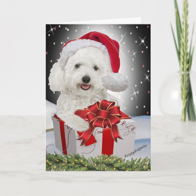 Tarjetas de Navidades Bichon (Anverso)