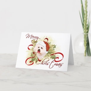 Tarjetas de Navidades Bichon Frise