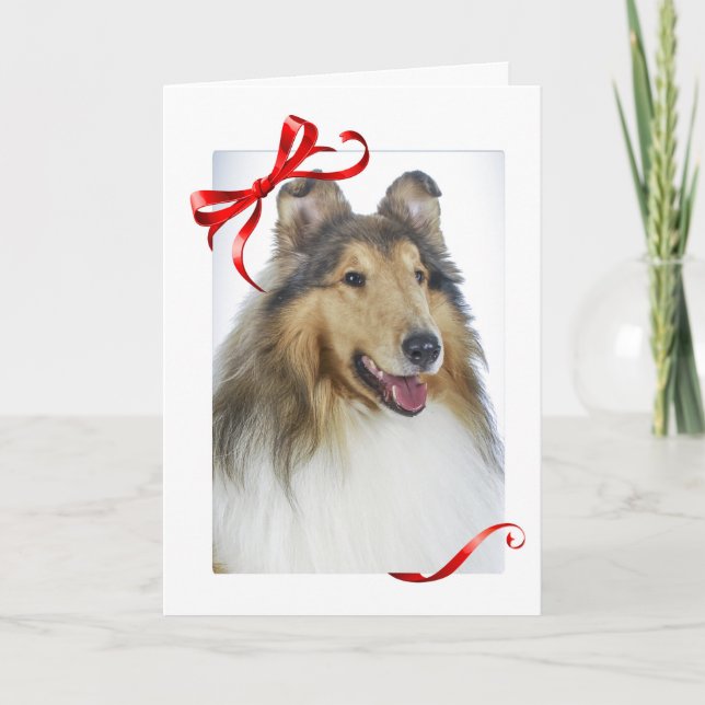 Tarjetas de Navidades Collie (Anverso)