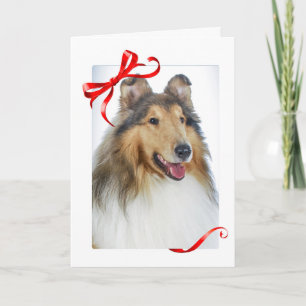 Tarjetas de Navidades Collie