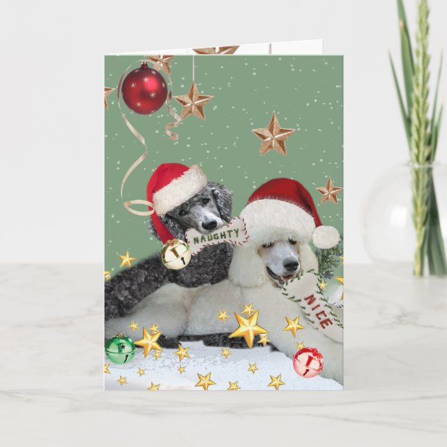 Tarjetas De Navidades De Carne De Carne Insignific (Anverso)
