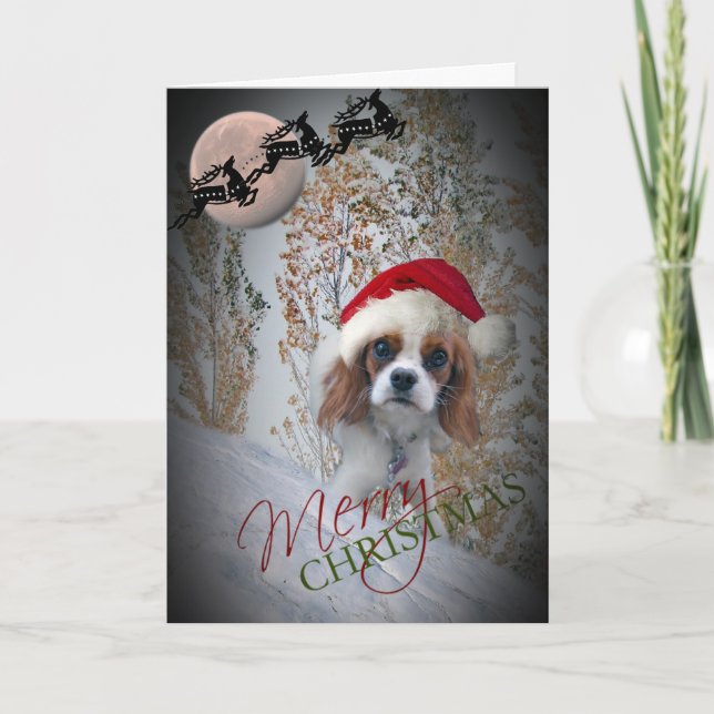 Tarjetas de Navidades de Cavalier King Charles (Anverso)