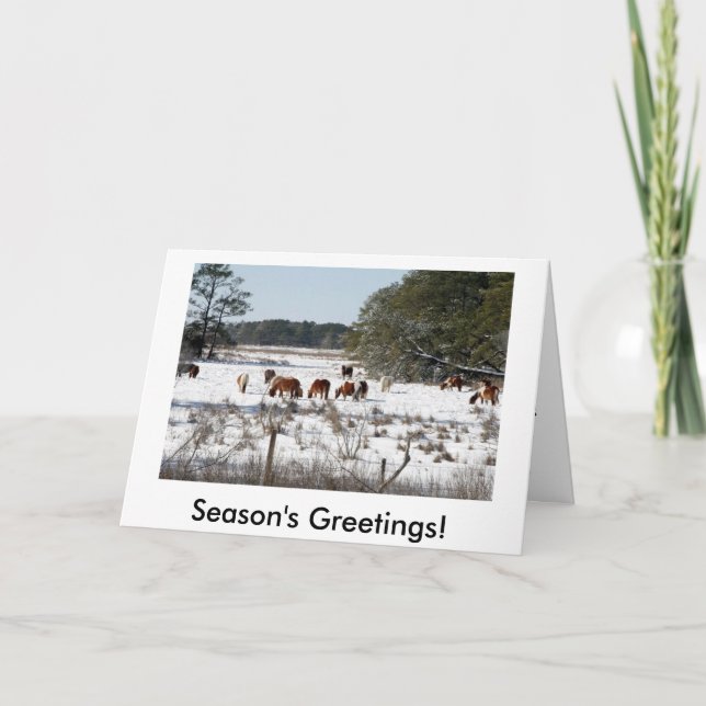 Tarjetas de Navidades de Chincoteague Wild Pony (Anverso)