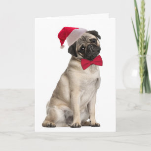 Tarjetas de Navidades de Santa Pug