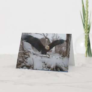 Tarjetas de Navidades Decorah Eagles