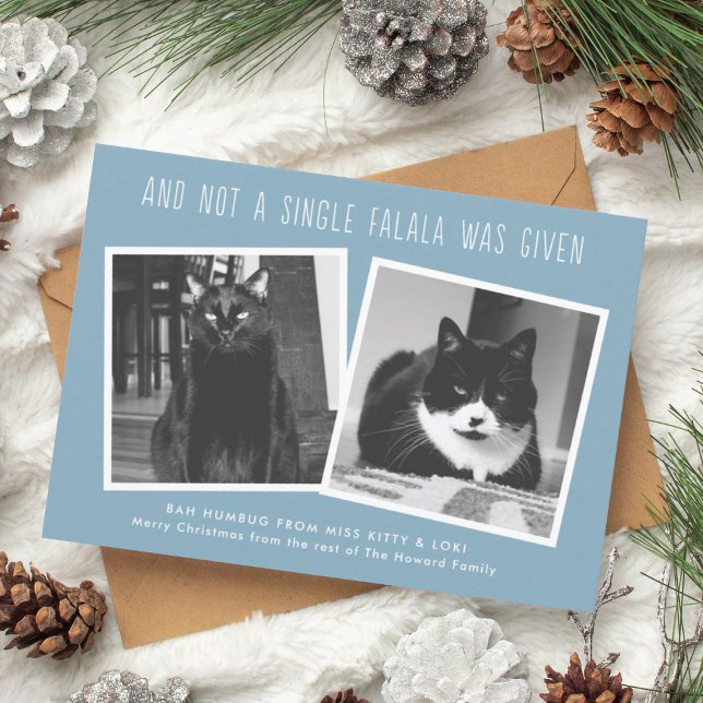 Tarjetas de Navidades divertidas para los propieta (funny cat owner christmas cards)