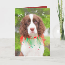 Tarjetas de Navidades Español Springer en inglés