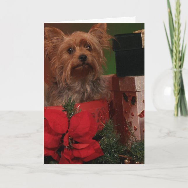 Tarjetas de Navidades Yorkie (Anverso)