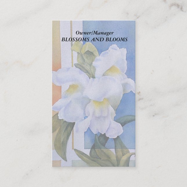 TARJETAS DE NEGOCIO DE PERSONALIZABLE DE BLANCO (Anverso)