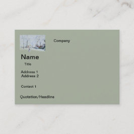 tarjetas de negocio diseño de nieve