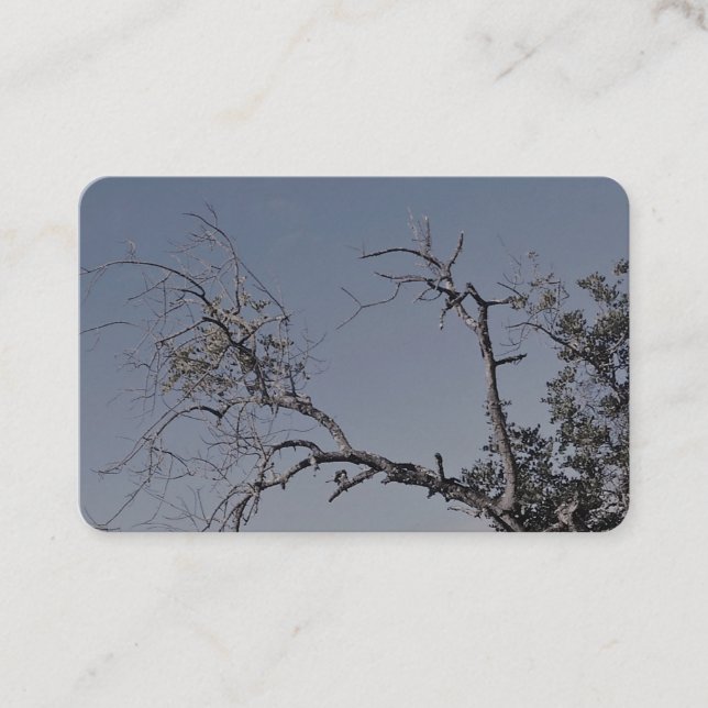 TARJETAS DE NEGOCIO ESTILO DE ARTE Y DISEÑO (Anverso)