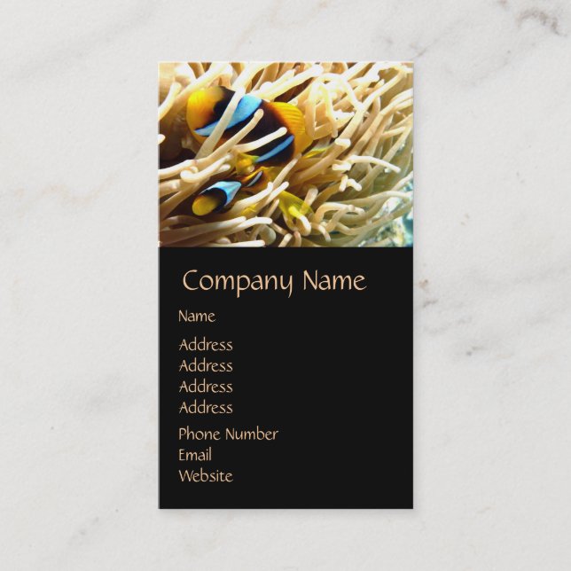 Tarjetas de negocio para peces de payaso (Anverso)