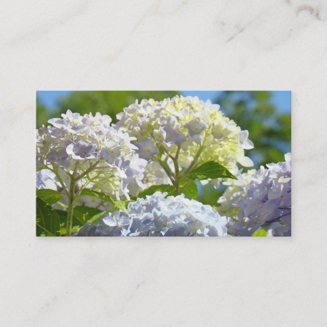 Tarjetas de Negocio Personalizadas Flores Hortensi (Anverso)