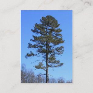 tarjetas de negocios azules del árbol evergreen de
