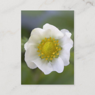 tarjetas de negocios de flor de fresa blanca bonit