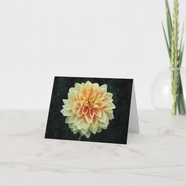 Tarjetas de nota con jardín de amigos en blanco va (Anverso)