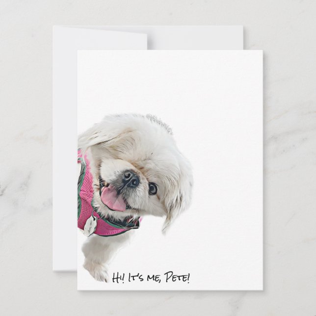 Tarjetas de nota con Peter Rottentail (Anverso)