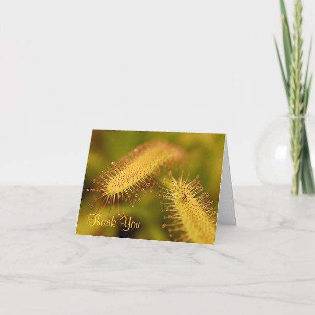 tarjetas de nota de agradecimiento de plantas carn (Anverso)